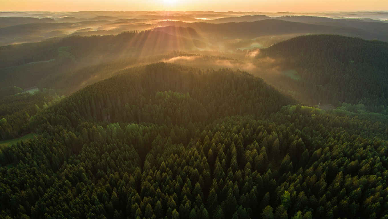 Atemberaubende Naturlandschaft Deutschlands — Schwarzwald bei Sonnenuntergang